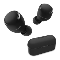 Preview: Panasonic RZ-S500W