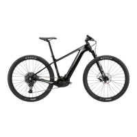 Preview: Cannondale Canvas Neo 1