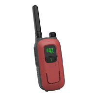 Preview: Radioddity FS-T3