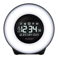 Preview: La Crosse Technology C83117