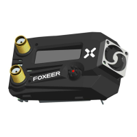 Preview: FOXEER WildFire
