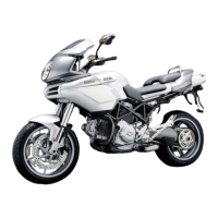 Preview: Ducati Multistrada 1000DS 2004