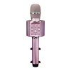 Microphone Logo
