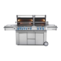 Preview: Napoleon PRESTIGE PRO PRO825