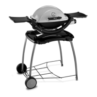 Preview: Weber Q 100 Series