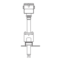 Preview: Endress+Hauser Liquiphant
