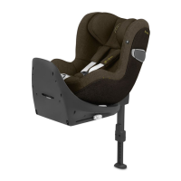 Preview: CYBEX PLATINUM