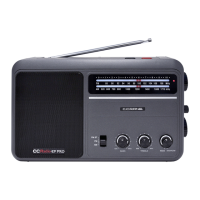 Preview: C. Crane CCRadio-EP PRO