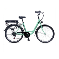 Preview: E-Bike CITY BIKE