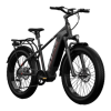 Bicycle Logo