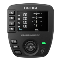 Preview: FujiFilm EF-W1