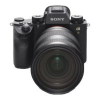 Preview: Sony alpha9