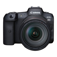Preview: Canon EOS R5