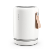 Preview: Molekule Air Mini+