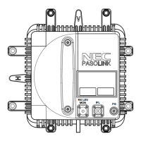 Preview: NEC PASOLINK