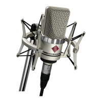 Preview: Neumann TLM 102