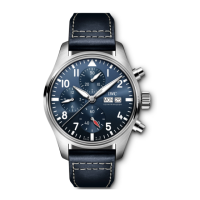 Preview: iwc PILOT'S WATCH CHRONOGRAPH