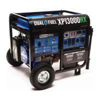 Preview: DUROMAX XP13000HX