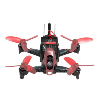 Preview: Walkera Rodeo 110