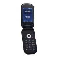 Preview: Consumer Cellular Link