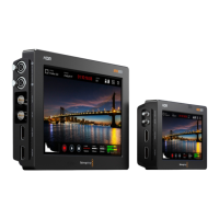 Preview: Video Assist 12G HDR