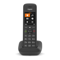 Preview: Gigaset C575