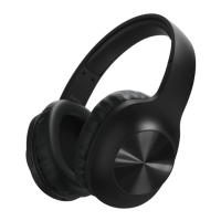 Preview: Hama Calypso