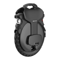 Preview: InMotion V11