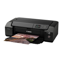 Preview: Canon PRO-300 Series