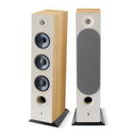 Preview: Focal CHORA 826