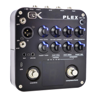 Preview: Gallien-Krueger PLEX