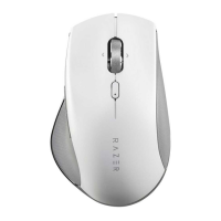 Preview: Razer PRO CLICK