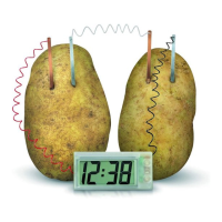 Preview: 4M Green Science Potato Clock