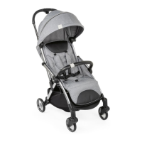 Preview: Chicco Goody