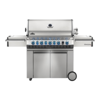 Preview: Napoleon PRESTIGE PRO PRO665