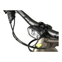 Preview: Lupine SLX