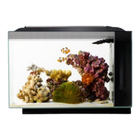 Preview: Fluval SEA EVO