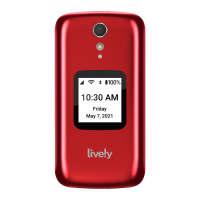 Preview: Lively Flip