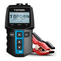 Preview: Topdon BT100