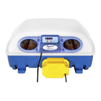 Preview: Borotto REAL Series