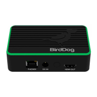 Preview: birddog FLEX 4K Series