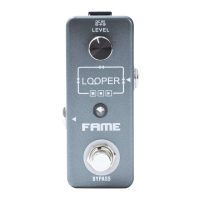 Preview: FAME LOOPER