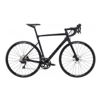 Preview: Cannondale CAAD13
