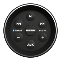 Preview: Hogtunes BTS-AA