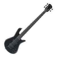Preview: Spector Performer Series