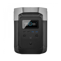 Preview: EcoFlow EF DELTA