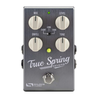 Preview: Source Audio True Spring Reverb