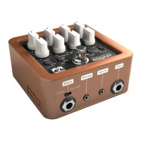 Preview: Palmer POCKET AMP ACOUSTIC