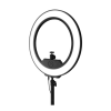 Light Fixture Logo