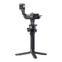 Preview: dji RSC 2